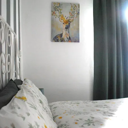 Bed & Breakfast Le Stanze Di Alicam 4*